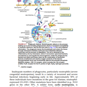 Test Banᛕ for Pathophysiology: The Biologic Basis for Disease in Adults and Children 8th Edition PDF Instant Download