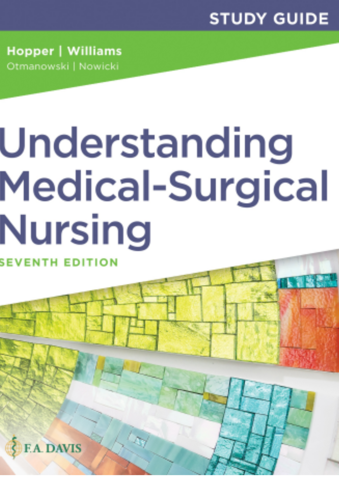 Davis Advantage for Understanding Medical-Surgical Nursing 7th Edition Williams Test Bank